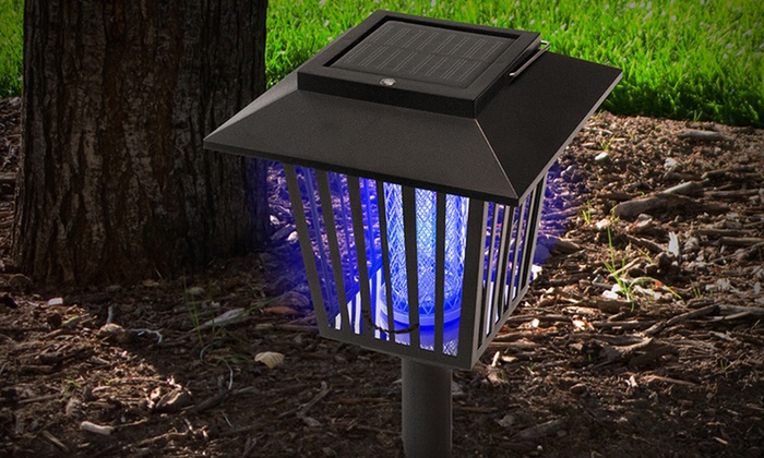 Stinger solar garden on sale mozzie zapper